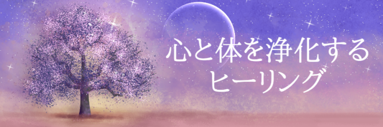 cook 今日なに作ろ？